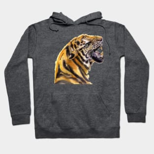 Tiger  portrait Hoodie